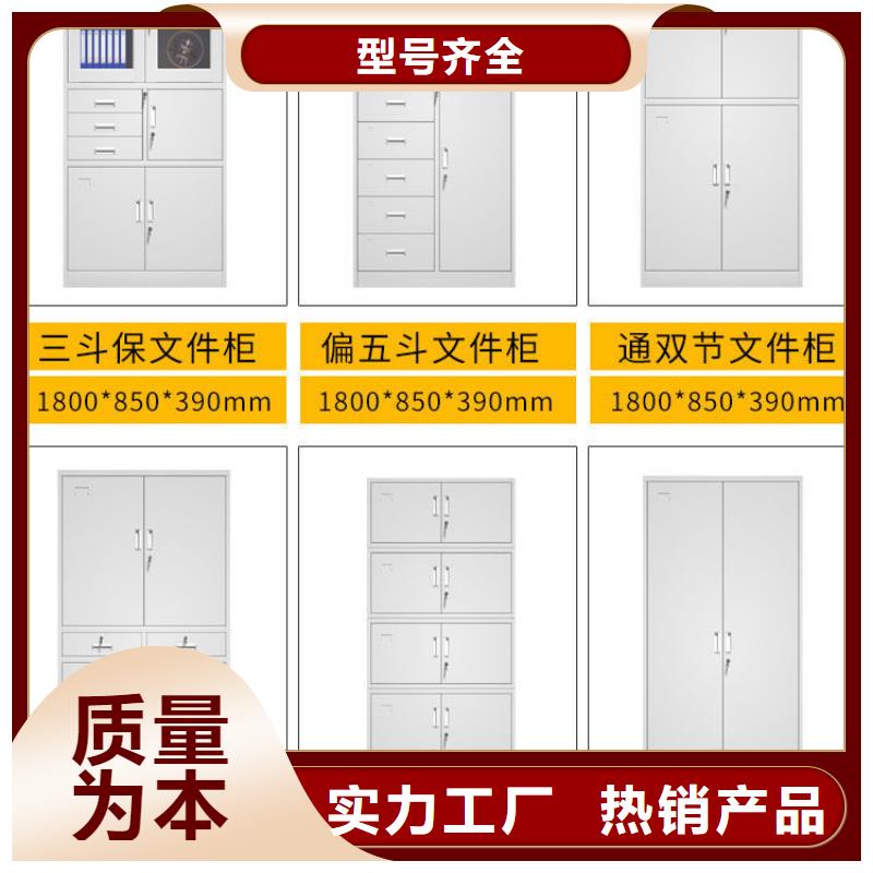 【密集柜】电动档案存放架定制定做