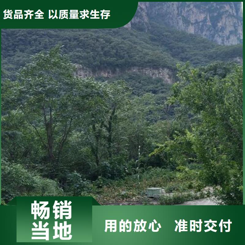 小型混凝土泵【搅拌混凝土泵】快速生产