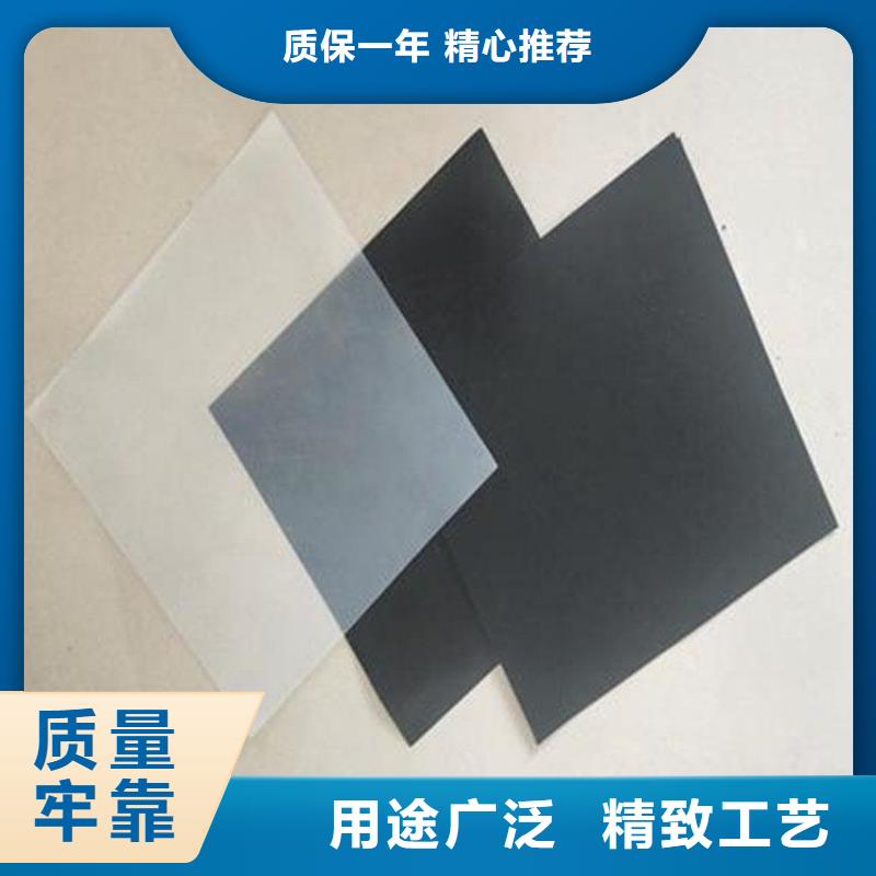 土工膜植草格品质保证实力见证