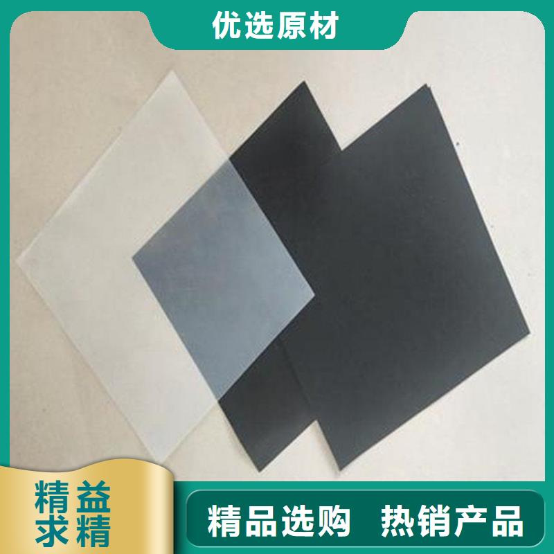 土工膜钢塑土工格栅高标准高品质