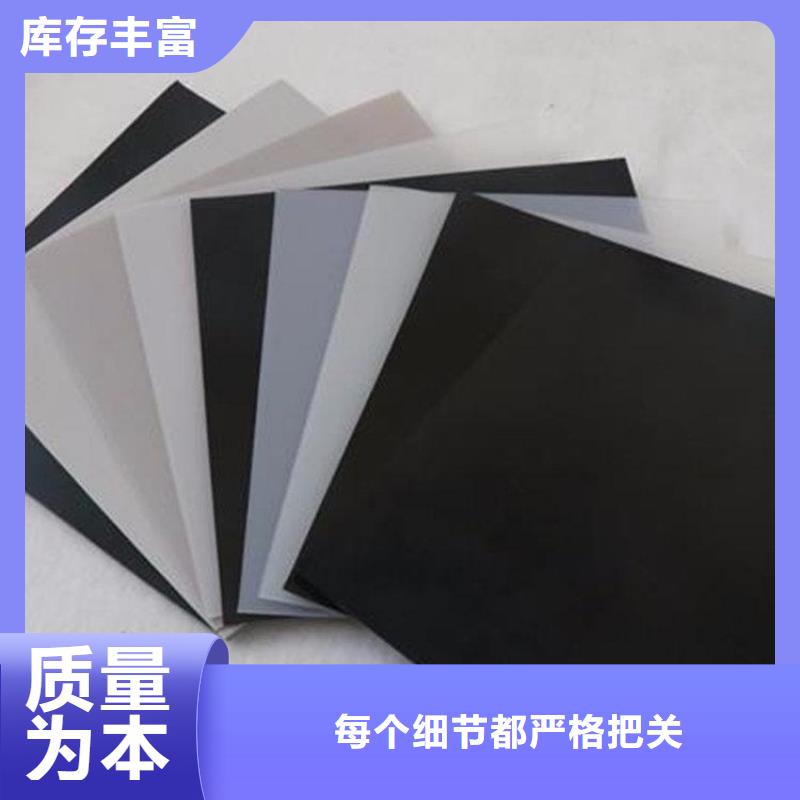 土工膜 塑料土工格栅现货销售