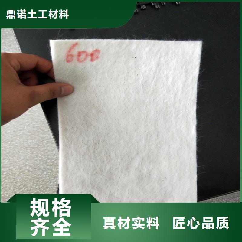 土工布-三维植被网高品质现货销售