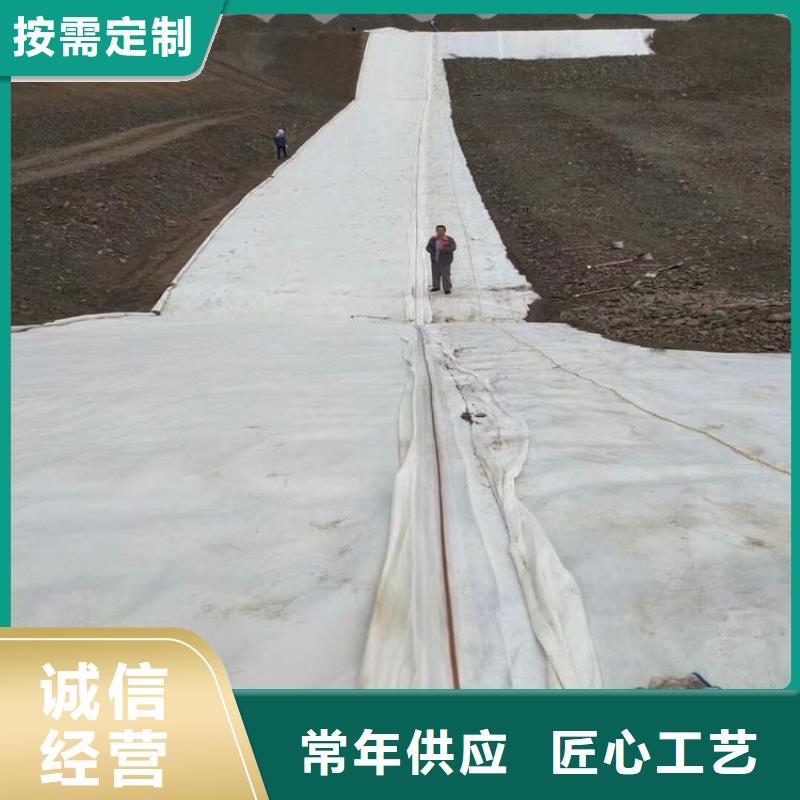 【土工布】止水条物美价优