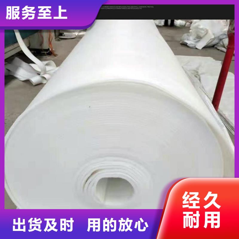 土工布玻纤土工格栅实力见证