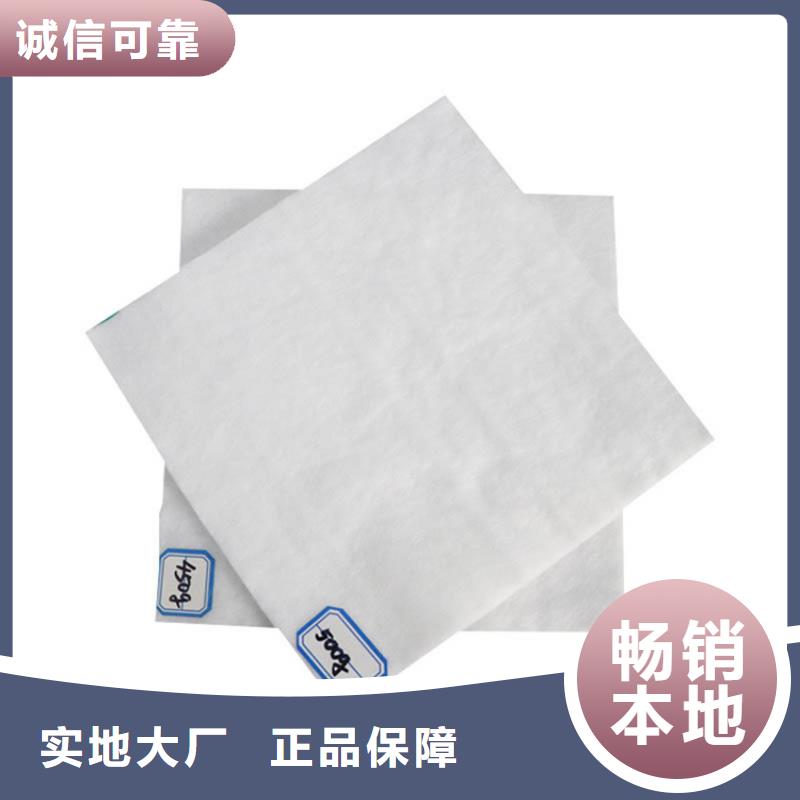 土工布-土工格栅精心