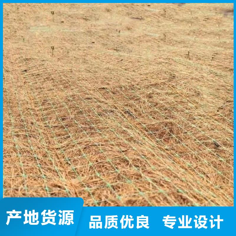 椰丝毯土工网垫价格实惠工厂直供