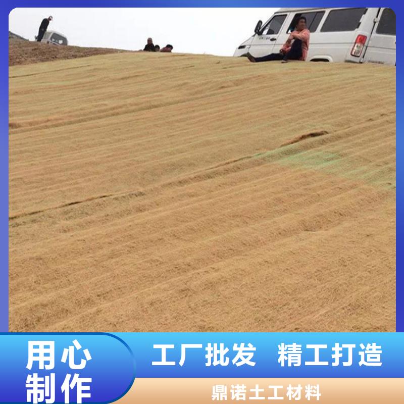 椰丝毯塑料格栅免费寄样