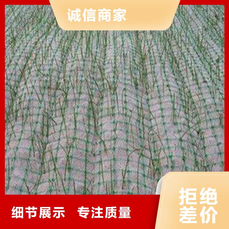 【椰丝毯】土工膜用途广泛