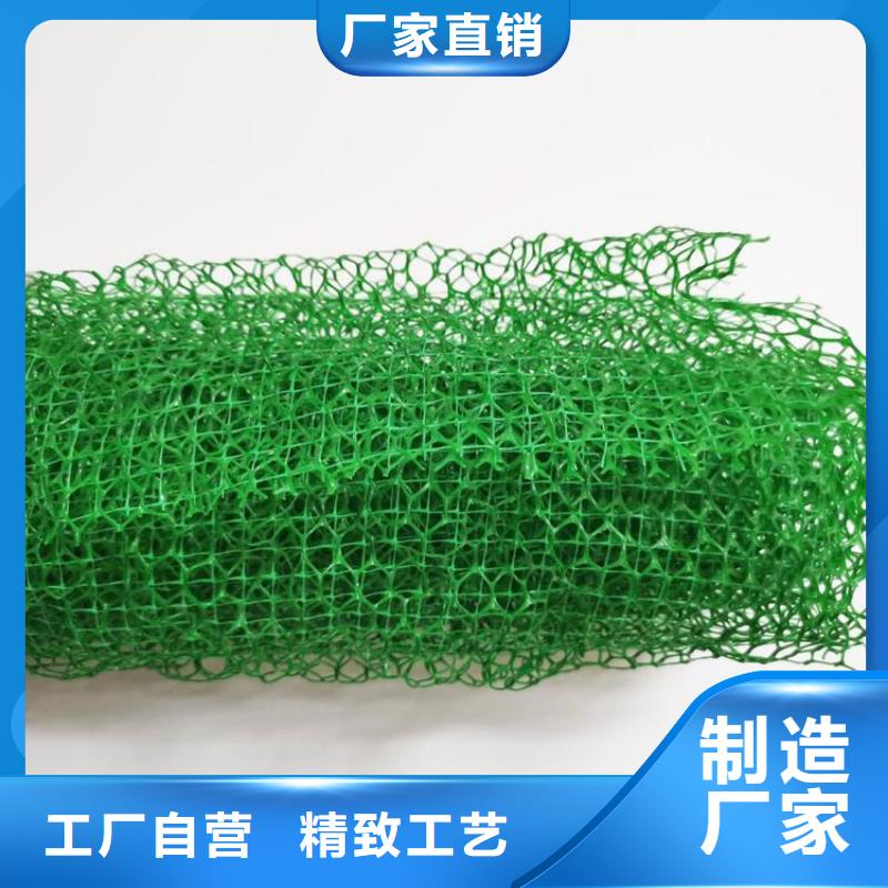 三维植被网土工膜用心做好每一件产品