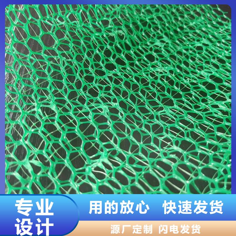 三维植被网土工膜现货销售