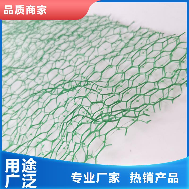 【三维植被网土工布货源稳定】