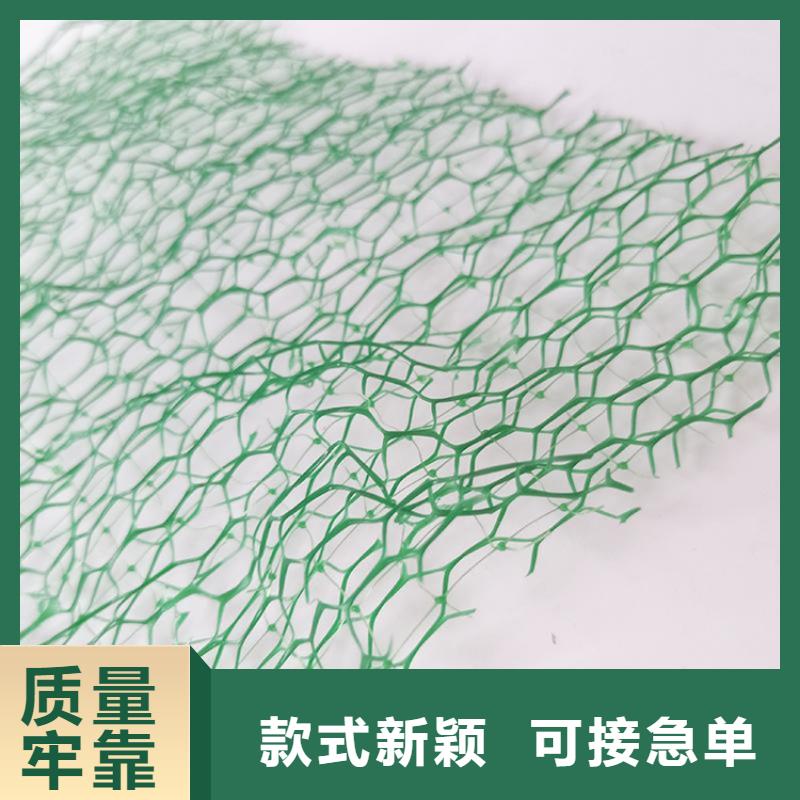 三维植被网止水条工艺精细质保长久