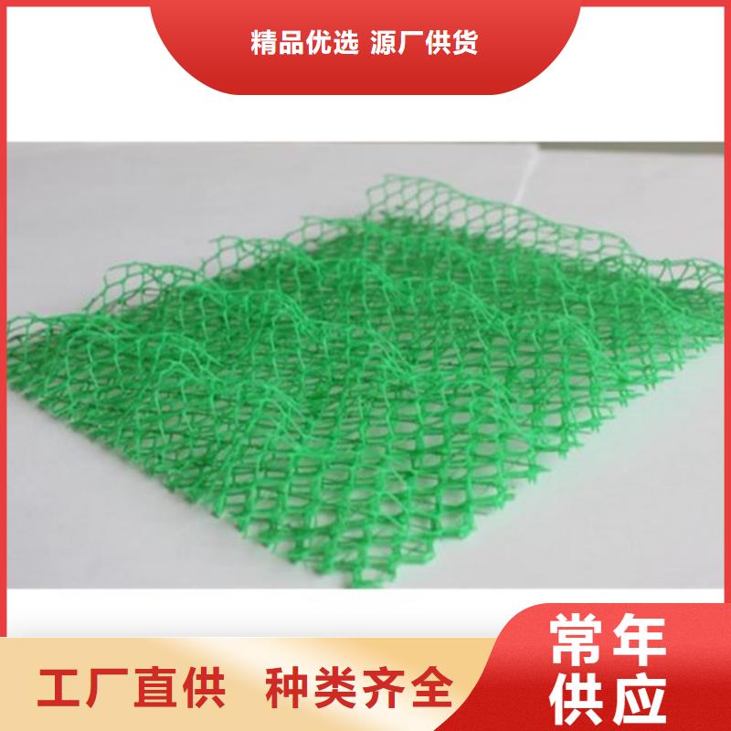 【三维植被网】土工膜现货批发