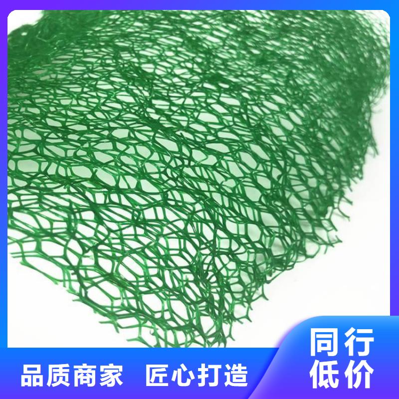 【三维植被网钢塑土工格栅质量安心】