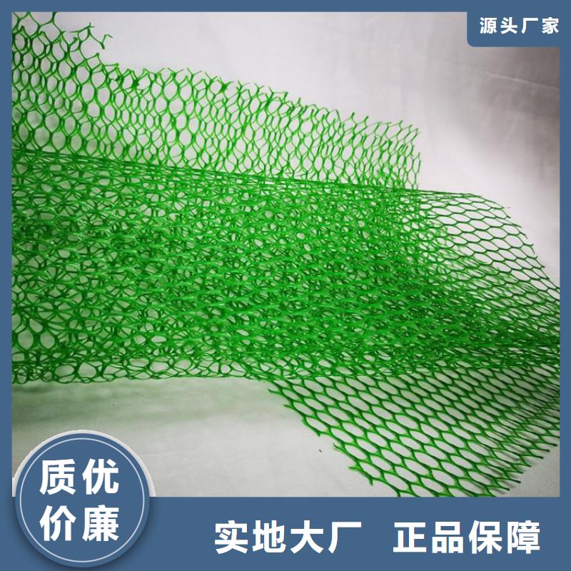 三维植被网-土工布好货有保障