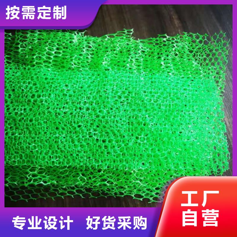 三维植被网土工布现货销售
