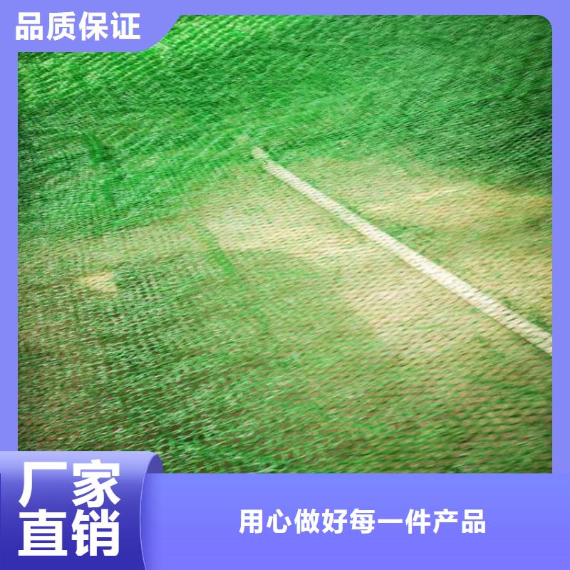 三维植被网,钢塑格栅安心购