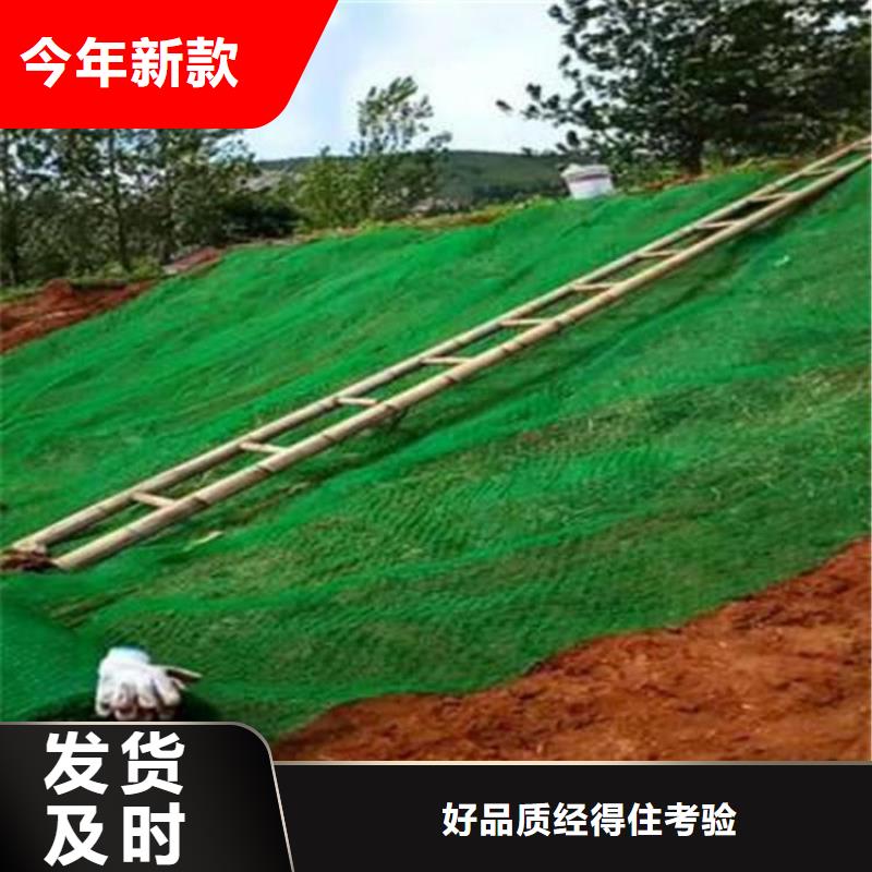 【三维植被网】土工膜厂家经验丰富
