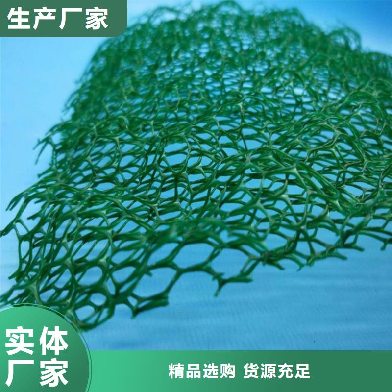【三维植被网钢塑土工格栅质量安心】