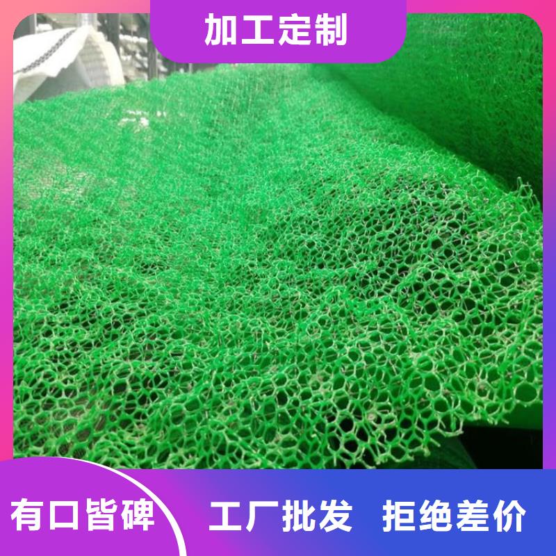 三维植被网-通风降噪丝网价格公道合理