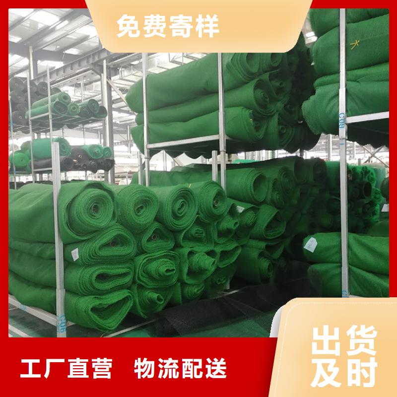 三维植被网防渗膜厂家售后完善