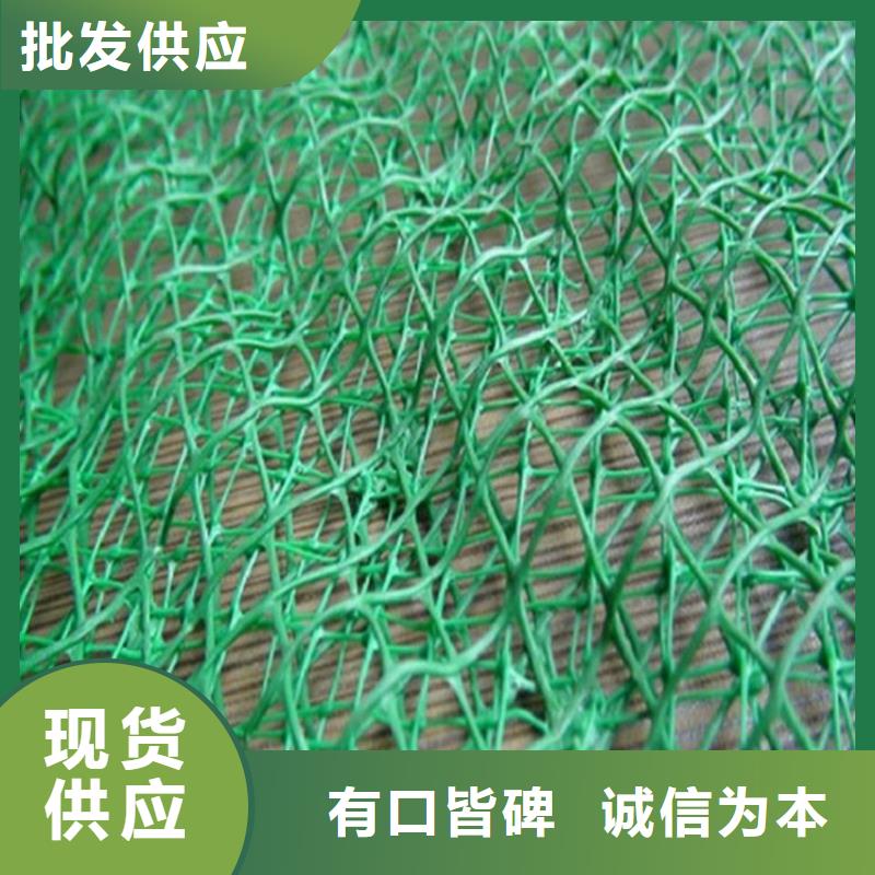 三维植被网-玻纤格栅多种规格供您选择