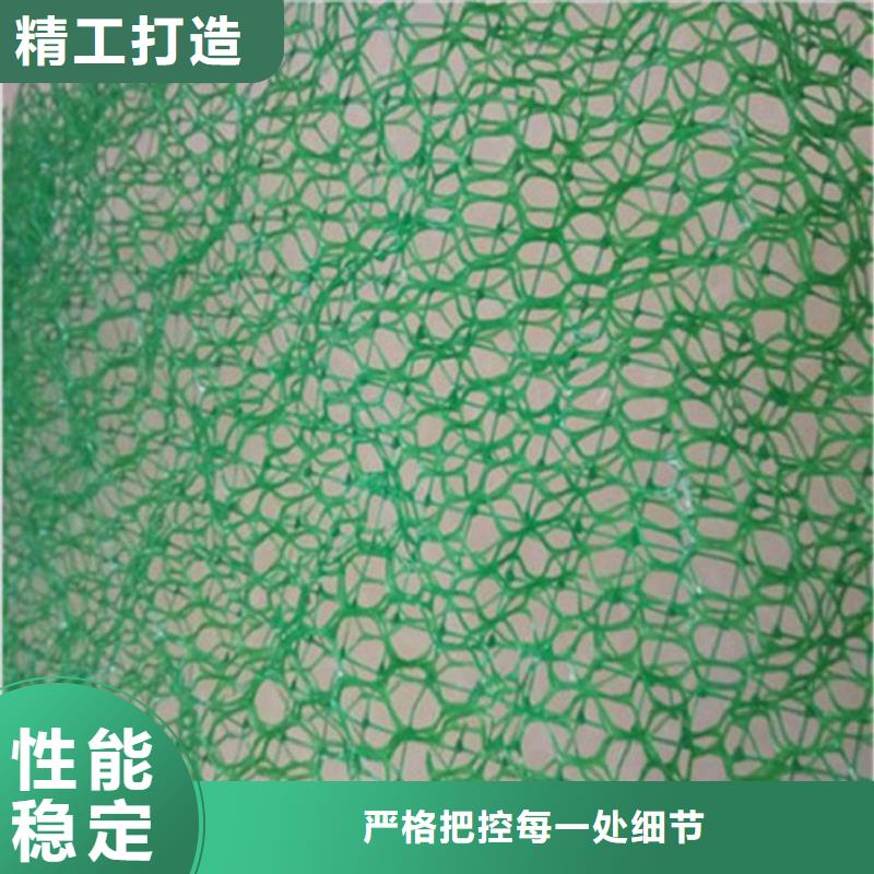 三维植被网防渗膜厂家售后完善