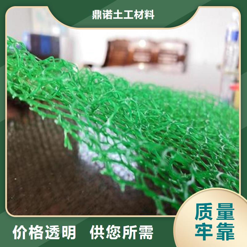 【三维植被网土工布就近发货】
