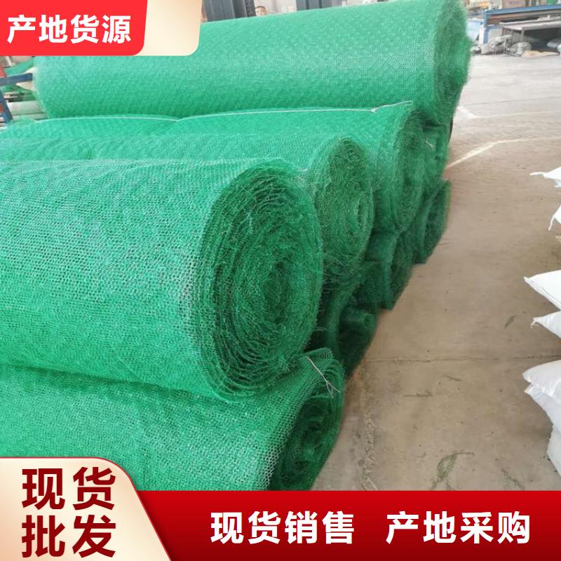 三维植被网防渗膜厂家售后完善