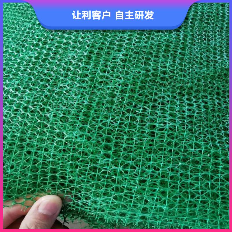 三维植被网防渗膜专业的生产厂家