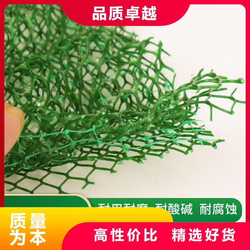 三维植被网土工布现货销售