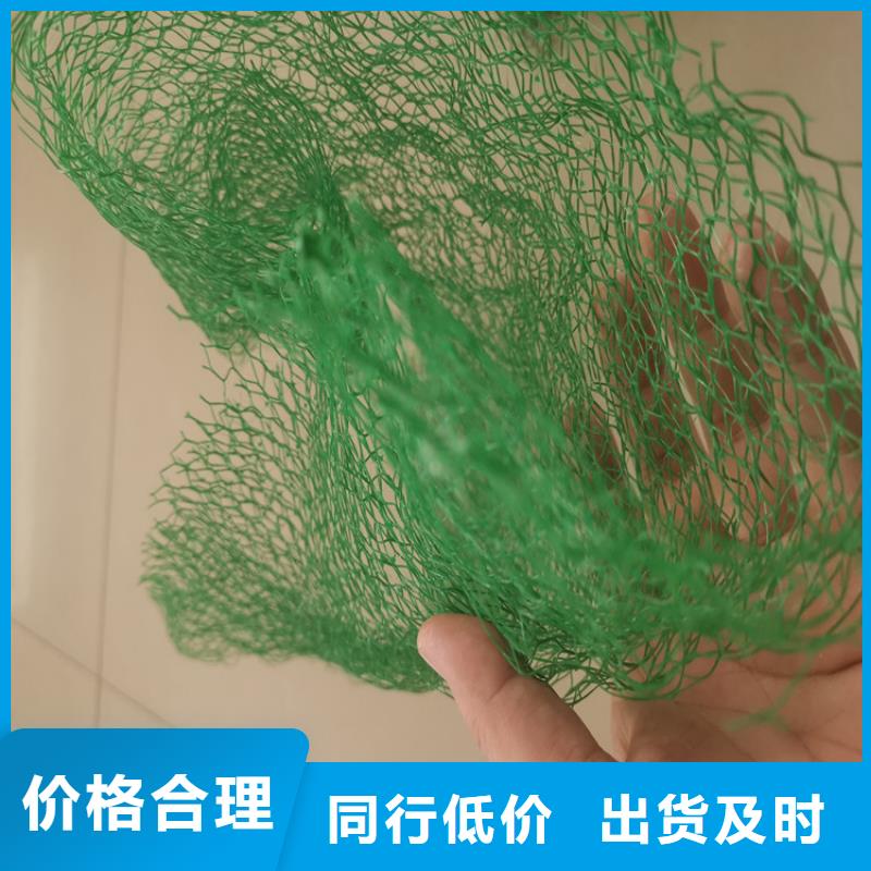 三维植被网【防渗膜】一手货源