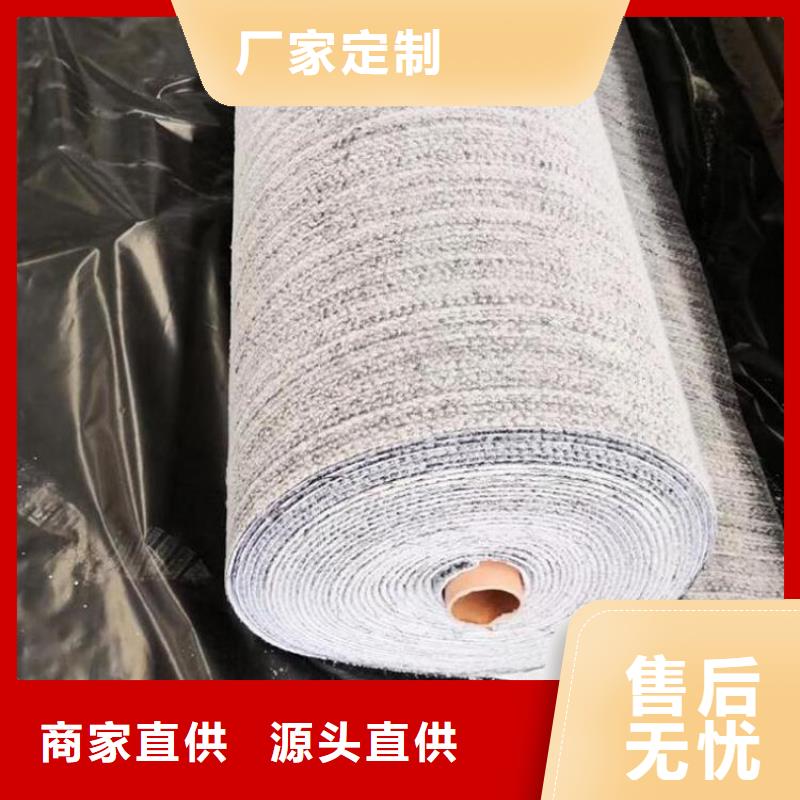 膨润土防水毯防渗膜源头厂家供应