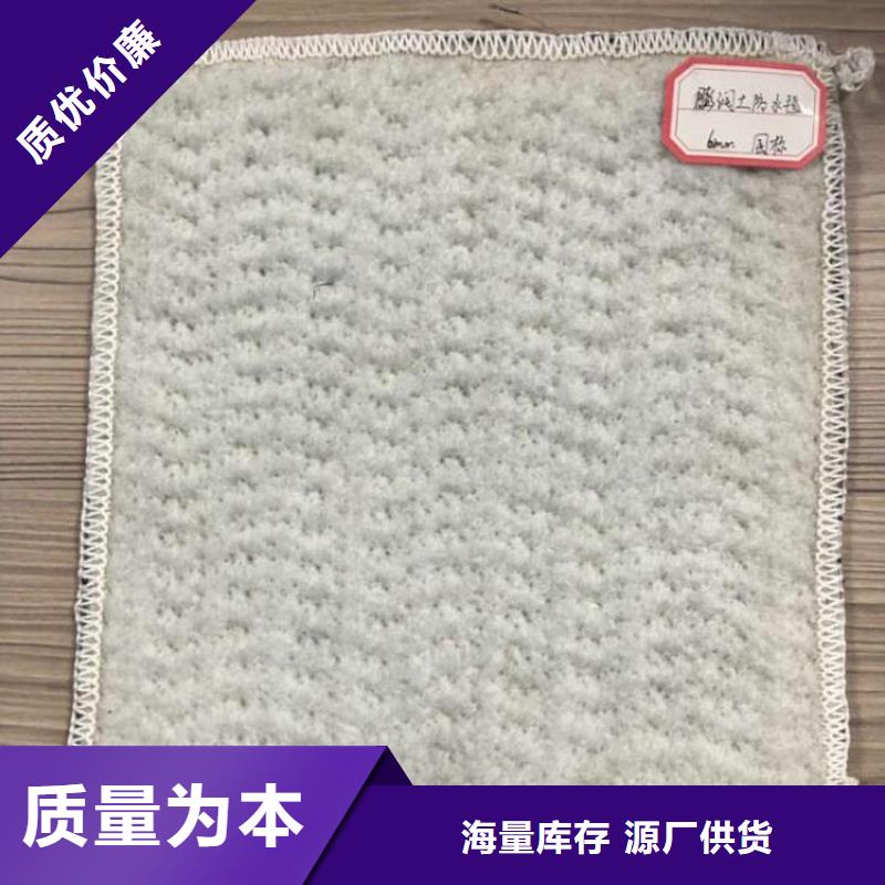 膨润土防水毯-防渗膜实力厂家