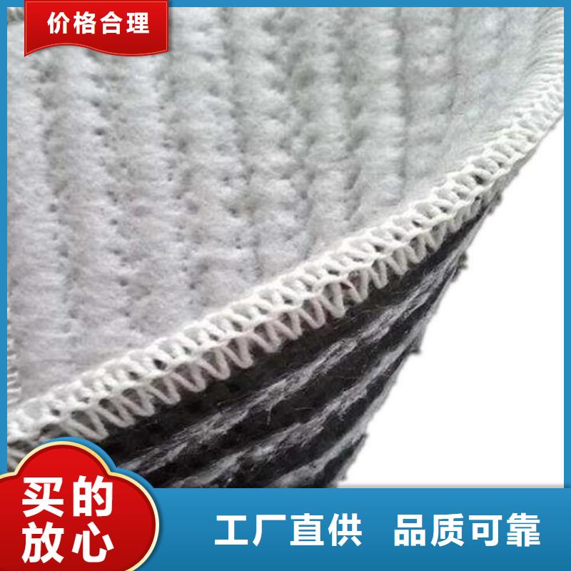 膨润土防水毯-双向塑料土工格栅专业设计