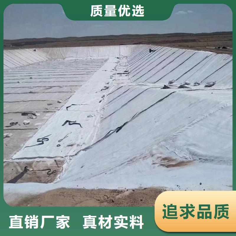 膨润土防水毯土工膜支持大小批量采购