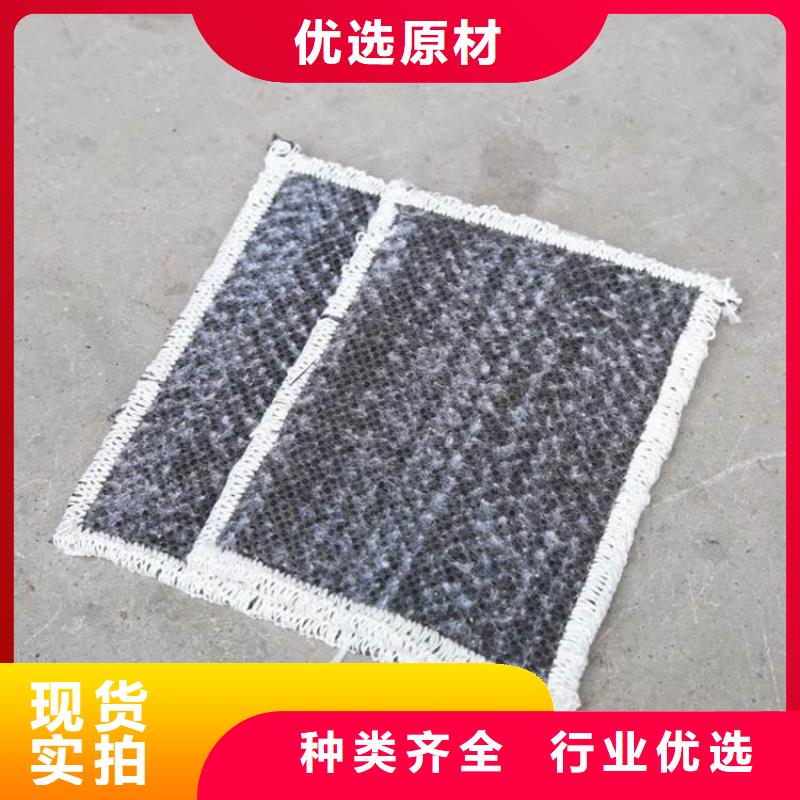 膨润土防水毯钢塑土工格栅工厂现货供应
