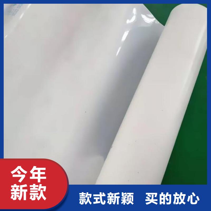 双向塑料土工格栅-视频-三门峡市双向塑料土工格栅-河南省三门峡市卢氏|陕县|商丘|新乡|许昌|洛阳|开封|鹤壁|南阳(本地)制造商