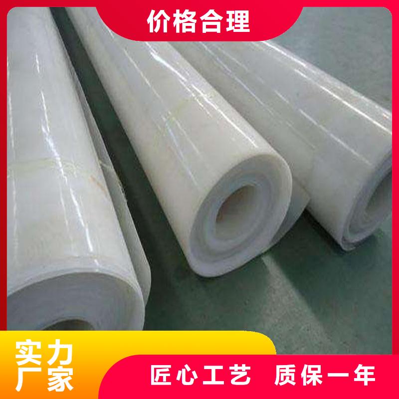 防水板玻纤格栅客户信赖的厂家