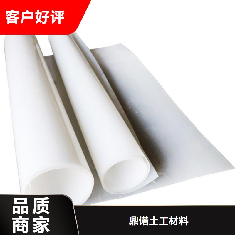 防水板玻纤格栅客户信赖的厂家