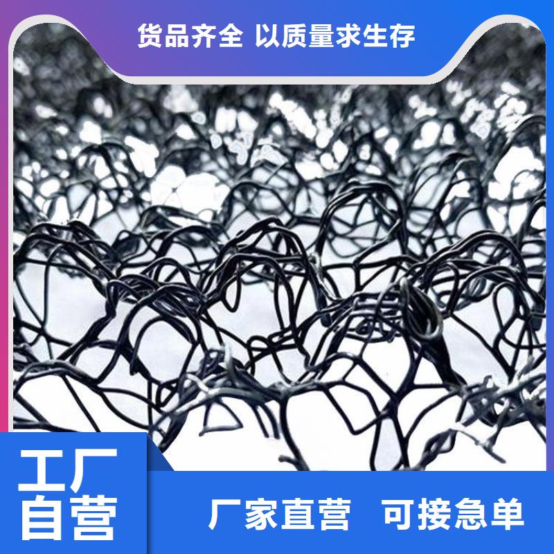 双向塑料土工格栅-视频-荆门市双向塑料土工格栅-湖北省荆门市掇刀|东宝|随州|宜昌|十堰|鄂州【该地】公司