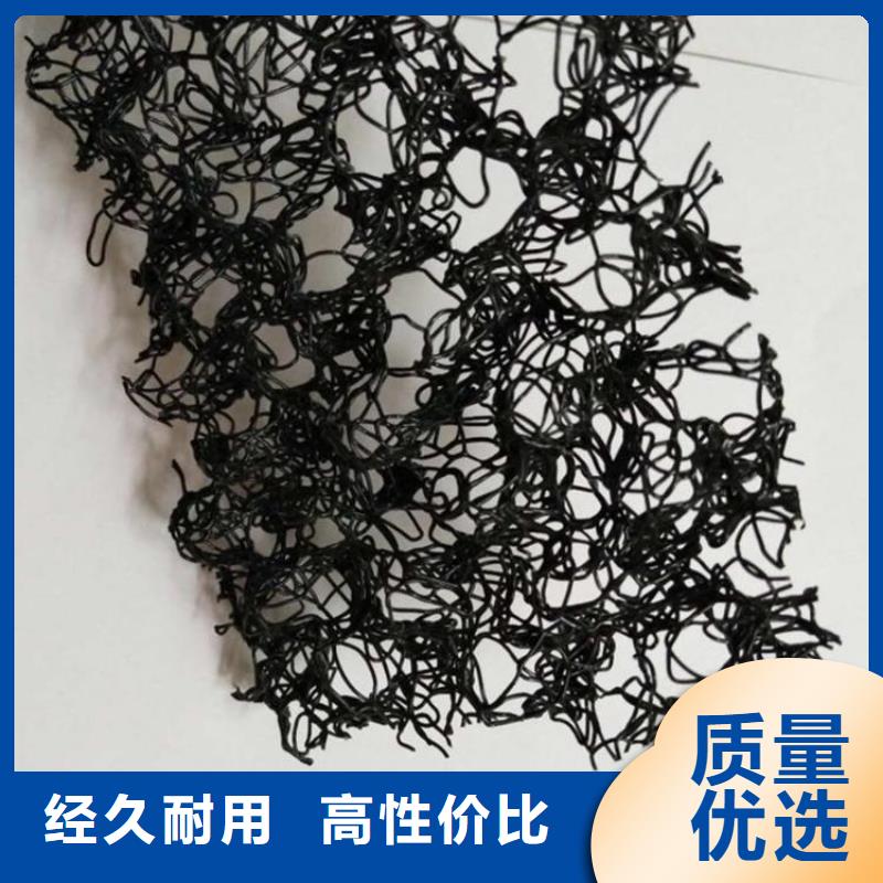 双向塑料土工格栅视频-双向塑料土工格栅_西藏山南市市场覆盖措美|洛扎|林芝|拉萨|阿里|昌都|日喀则|那曲等