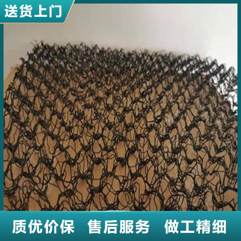 水土保护毯土工格栅款式多样