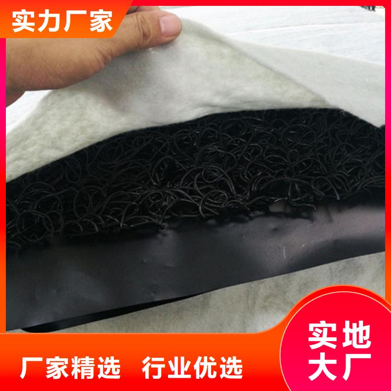土工席垫塑料盲沟专业生产N年