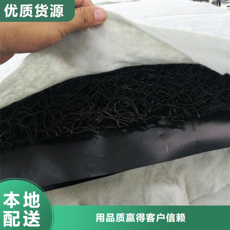 土工席垫HDPE土工膜产地源头好货