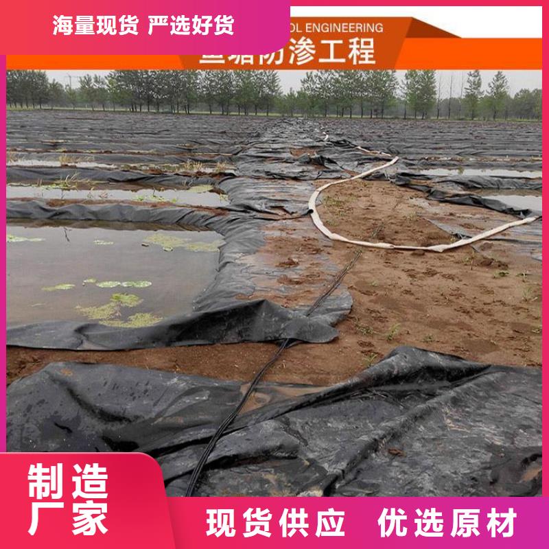 土工膜HDPE土工膜专心专注专业