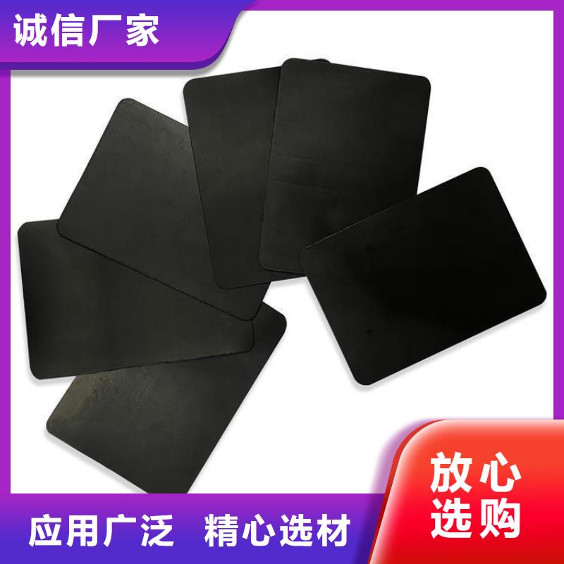 土工膜双向塑料土工格栅严选好货