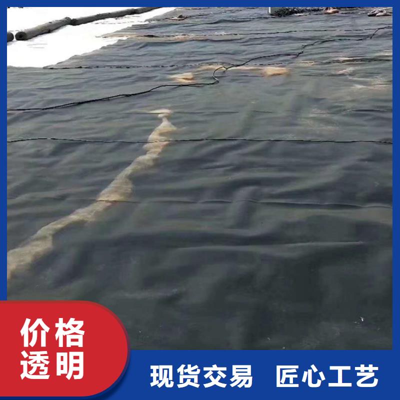 土工膜双向塑料土工格栅源厂供货