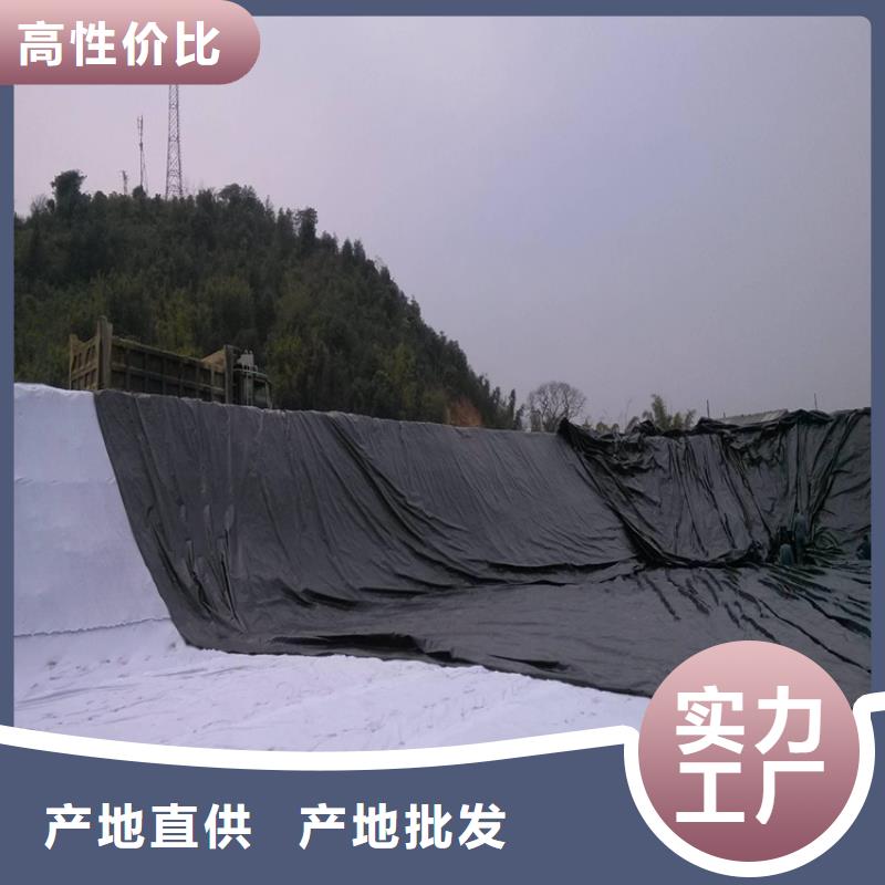 土工膜防渗膜品牌专营