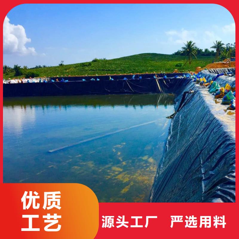 土工膜玻纤格栅我们更专业
